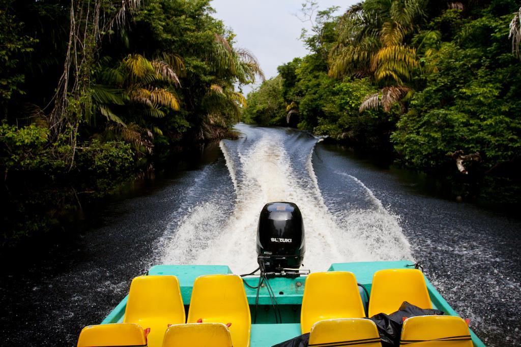 Turtle Beach Lodge Tortuguero Exteriör bild