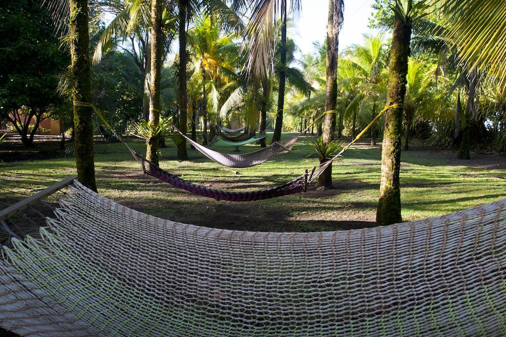 Turtle Beach Lodge Tortuguero Exteriör bild