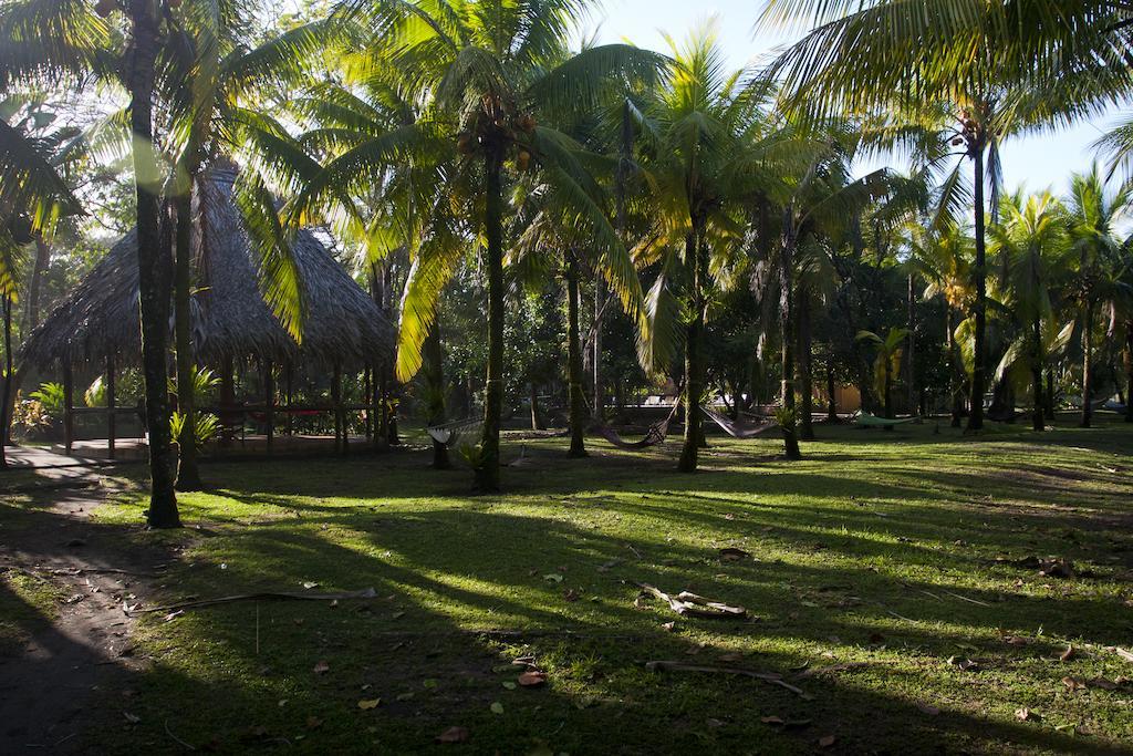 Turtle Beach Lodge Tortuguero Exteriör bild