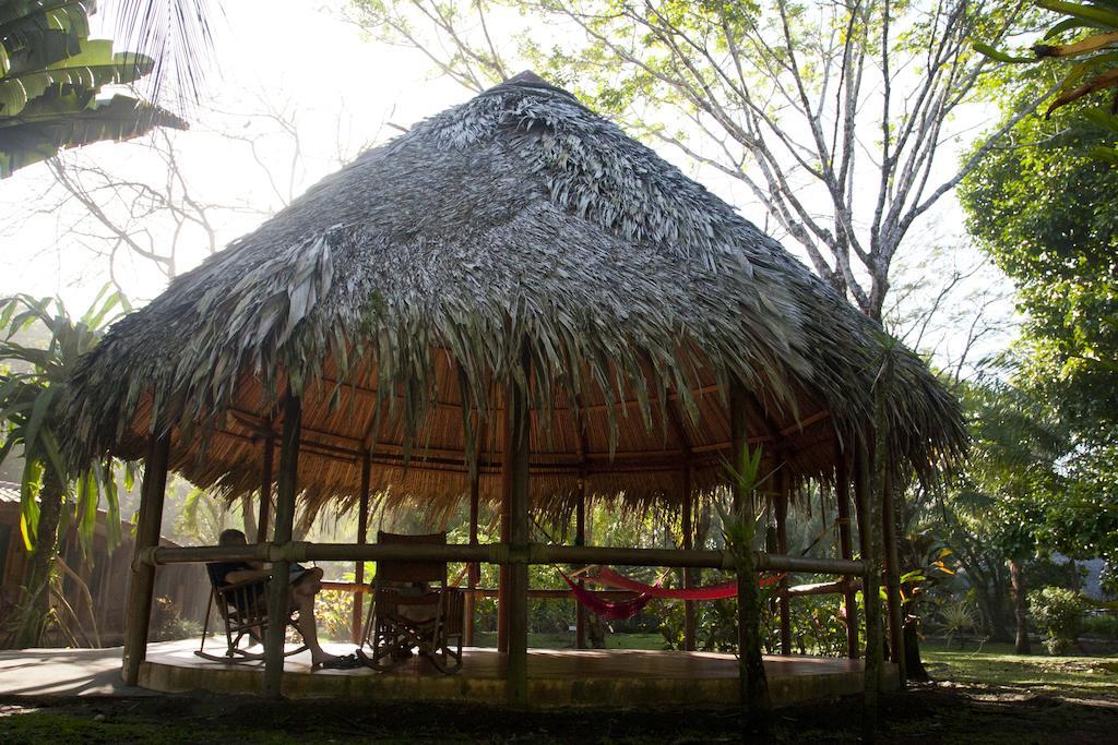 Turtle Beach Lodge Tortuguero Exteriör bild